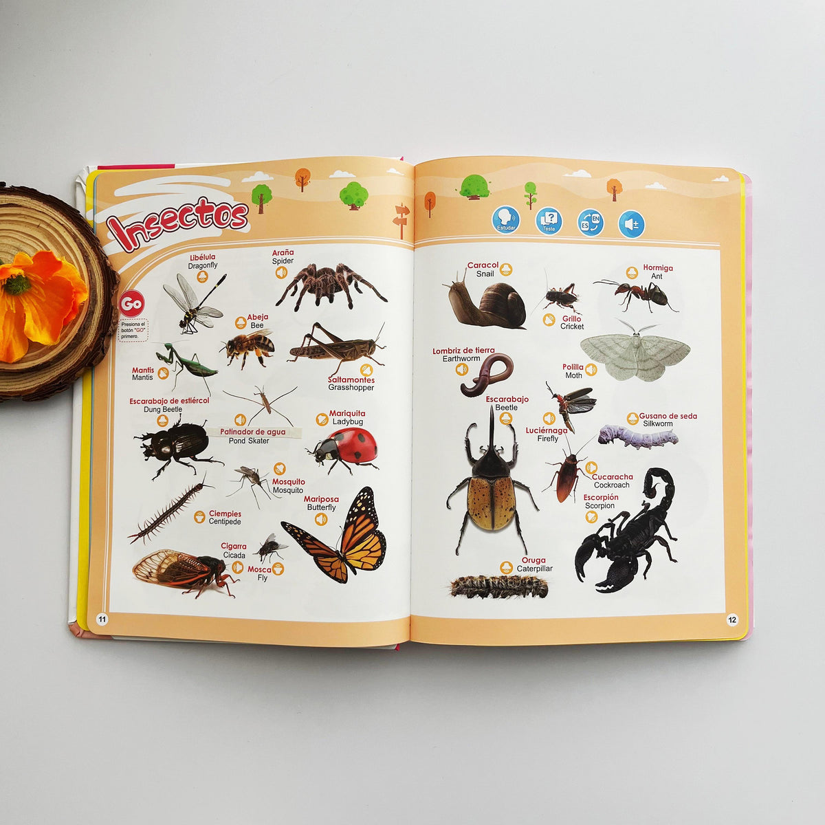 📘 PEQUEBILINGÜE™ – mi primer libro sonoro bilingüe para aprender español e inglés